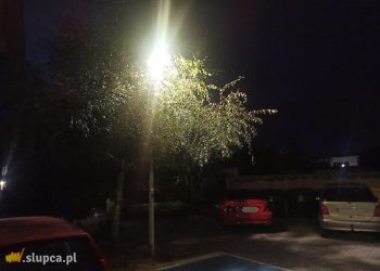 Najciemniej pod latarnią. Lampa oświetla… liście