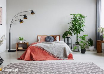 Jak urządzić mieszkanie w stylu urban jungle? Kilka wskazówek