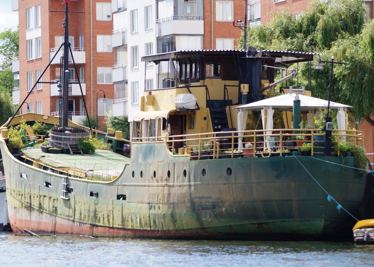 Trädgård, czyli ogród po szwedzku