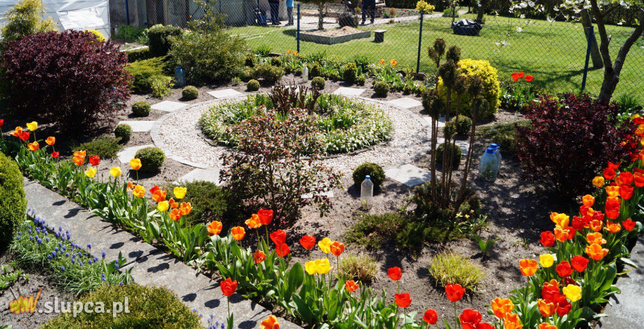 Ogród z nutą geometrii