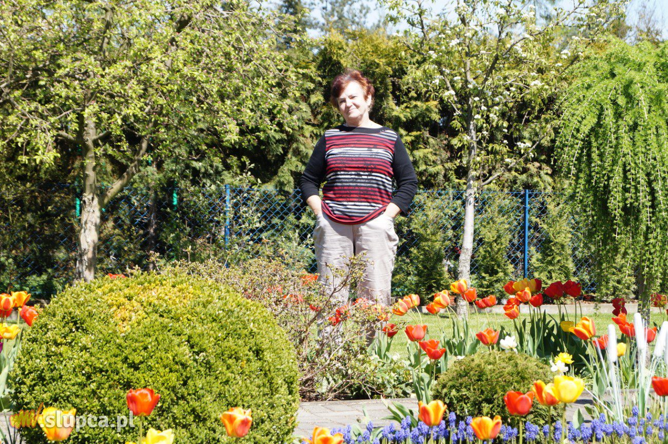 Ogród z nutą geometrii