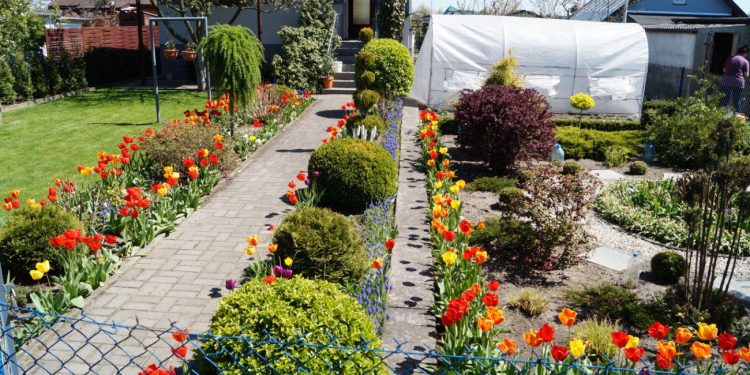 Ogród z nutą geometrii