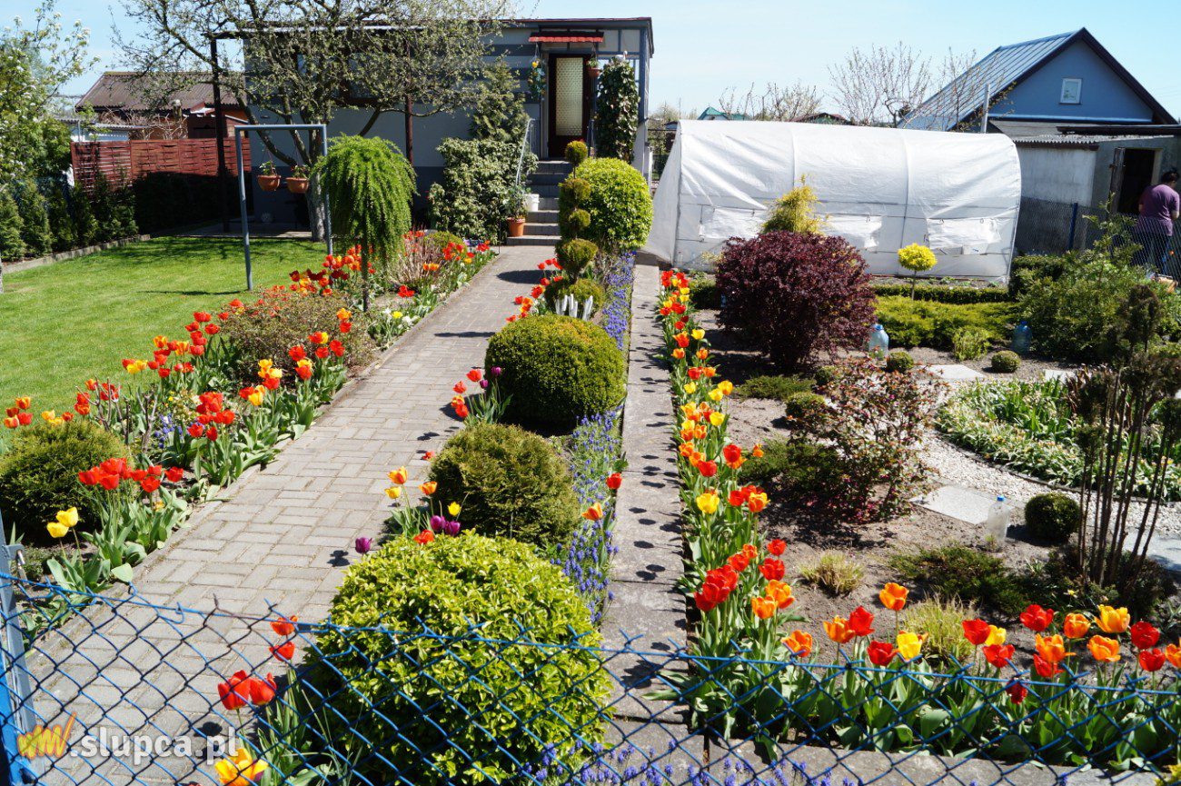 Ogród z nutą geometrii