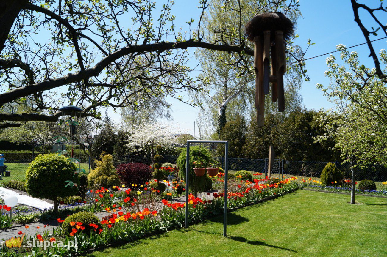 Ogród z nutą geometrii