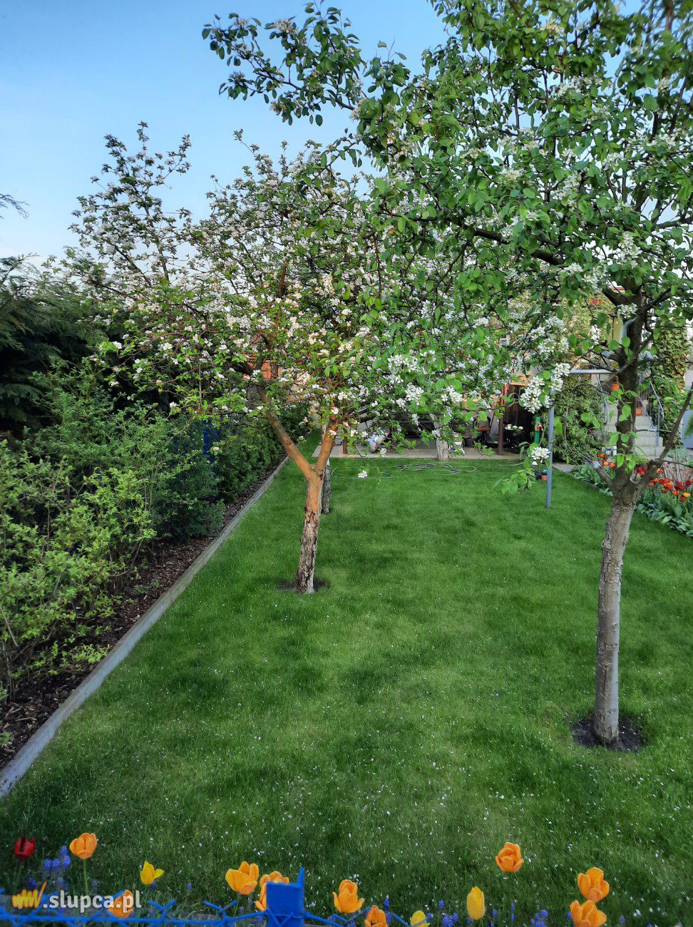 Ogród z nutą geometrii