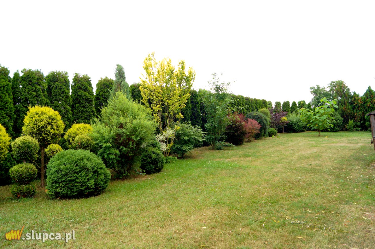 Królestwo żywotników