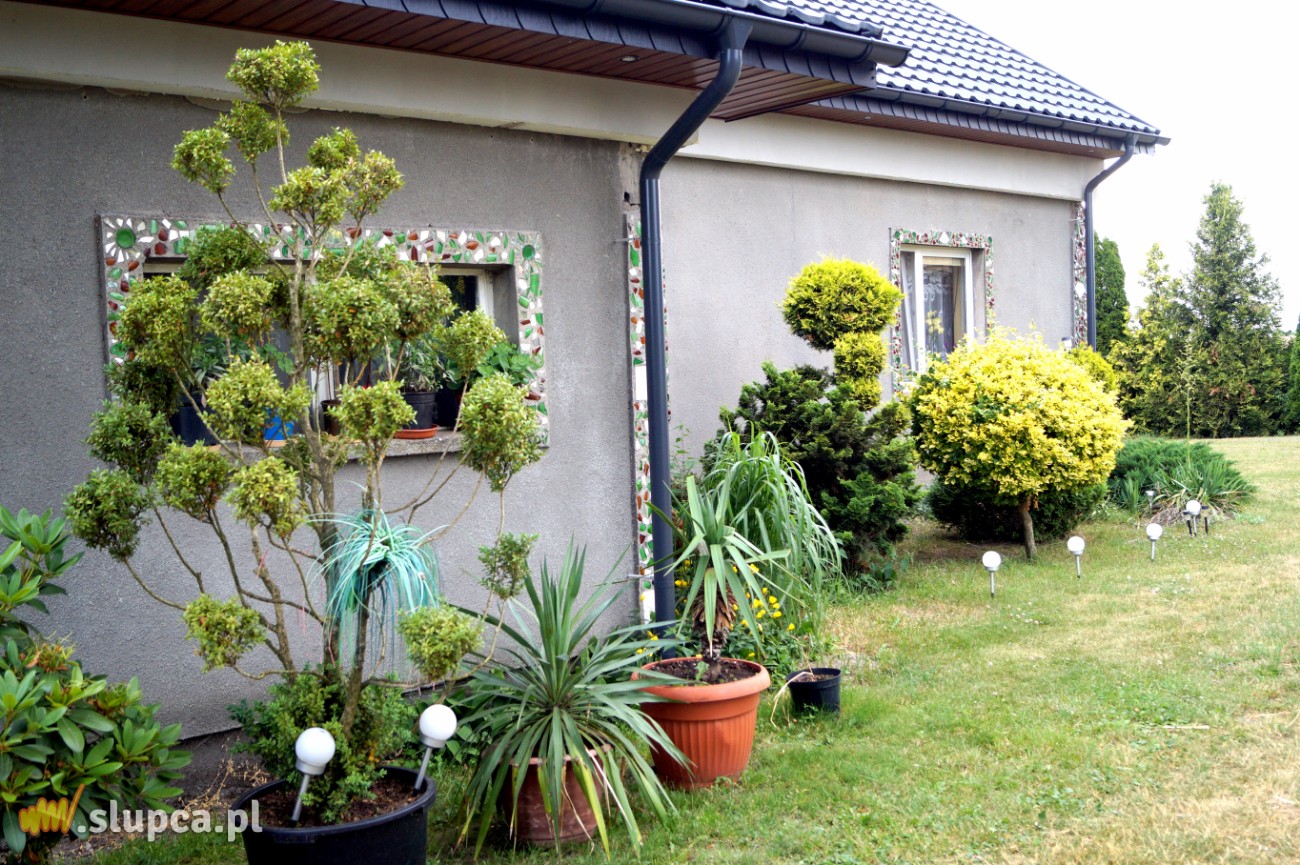 Królestwo żywotników