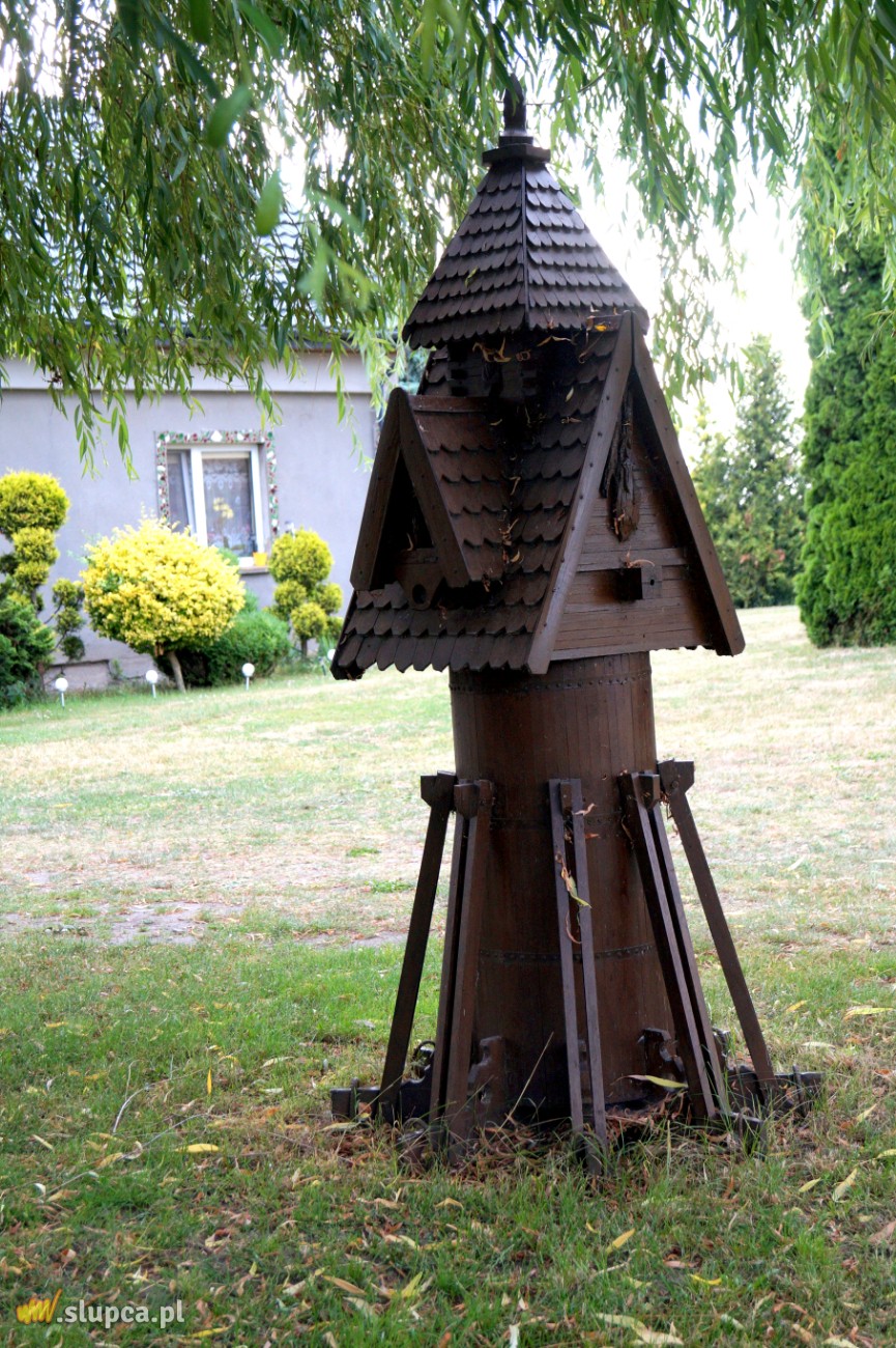 Królestwo żywotników