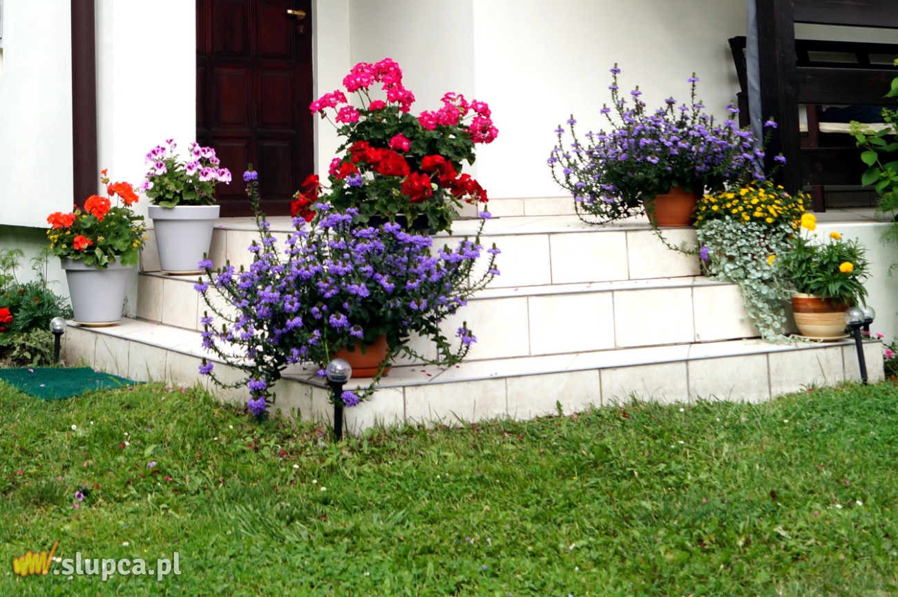 Ogród przy jeziorze