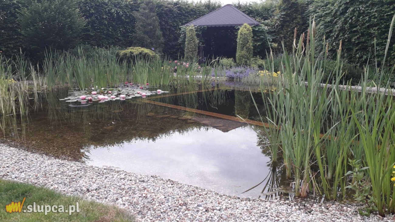 Ogród baśniowy – za domem