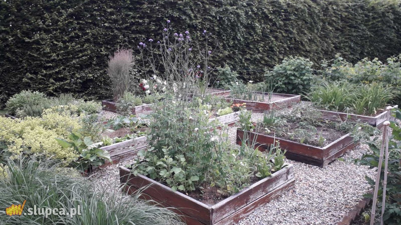 Ogród baśniowy – za domem