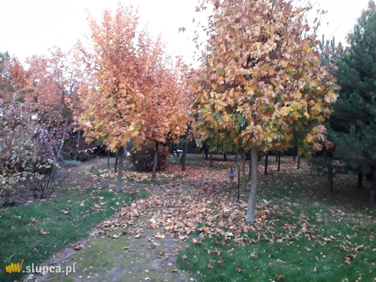 Ogród baśniowy – dodatek