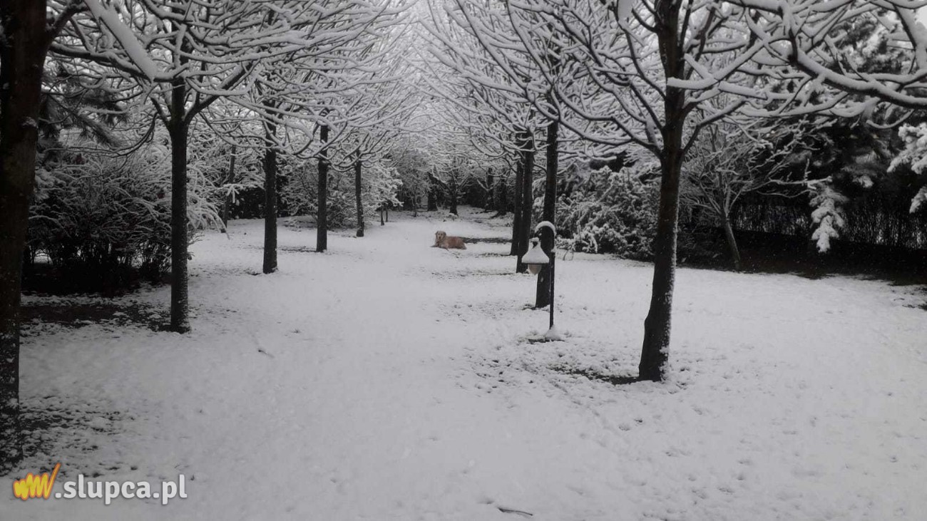 Ogród baśniowy – dodatek