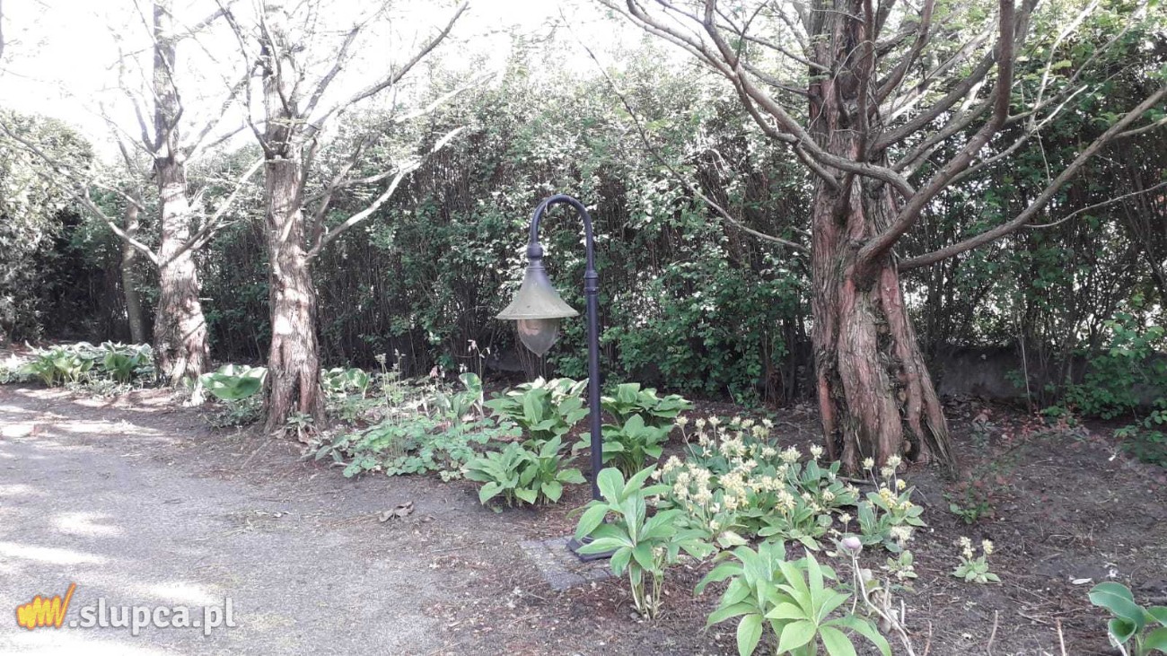 Ogród baśniowy – dodatek
