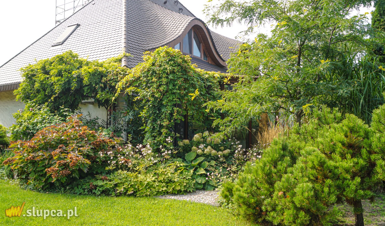 Ogród baśniowy – dodatek