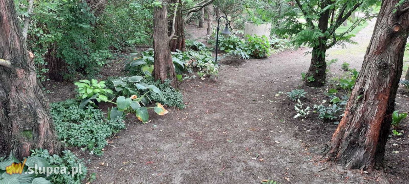 Ogród baśniowy – dodatek