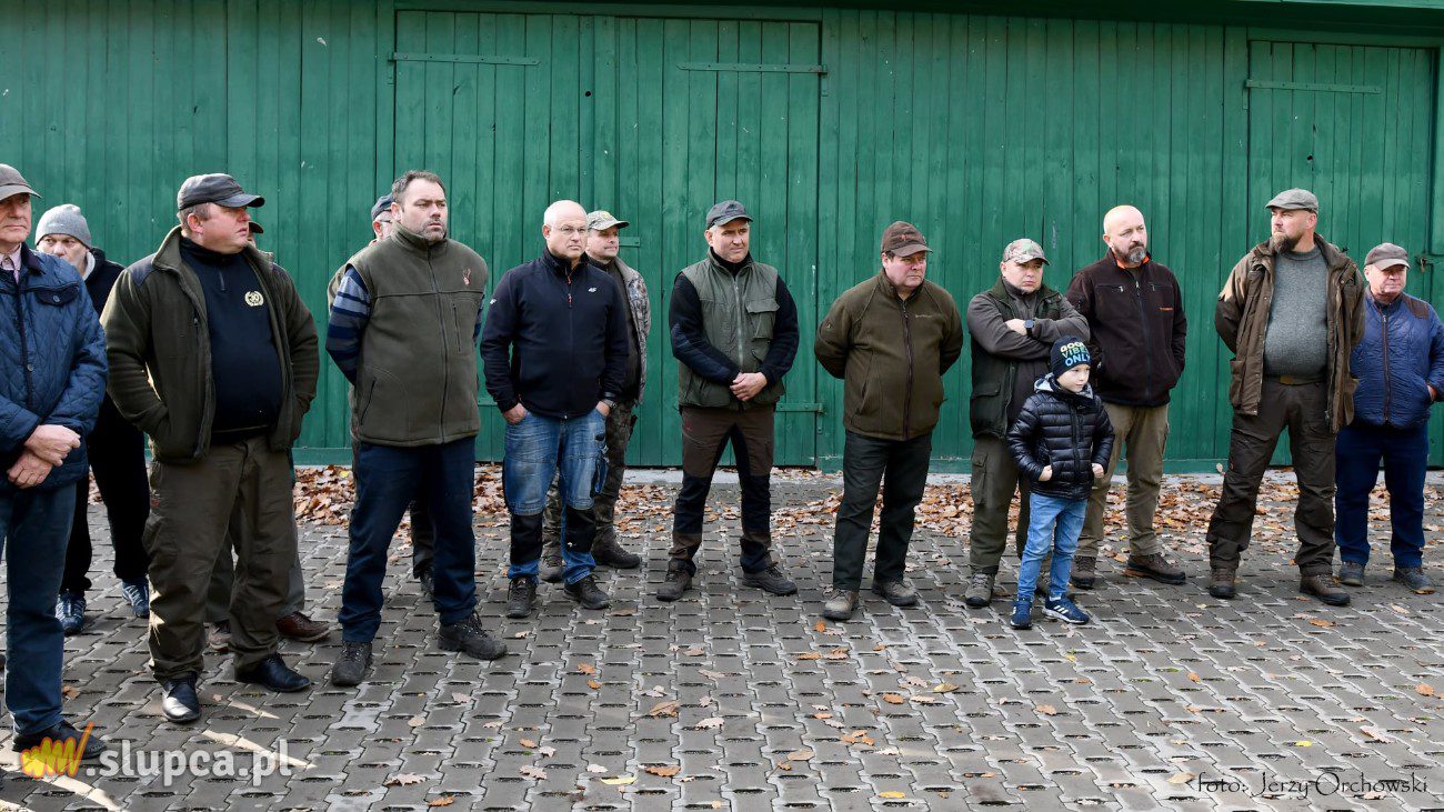 Pół tysiąca więcej bażantów