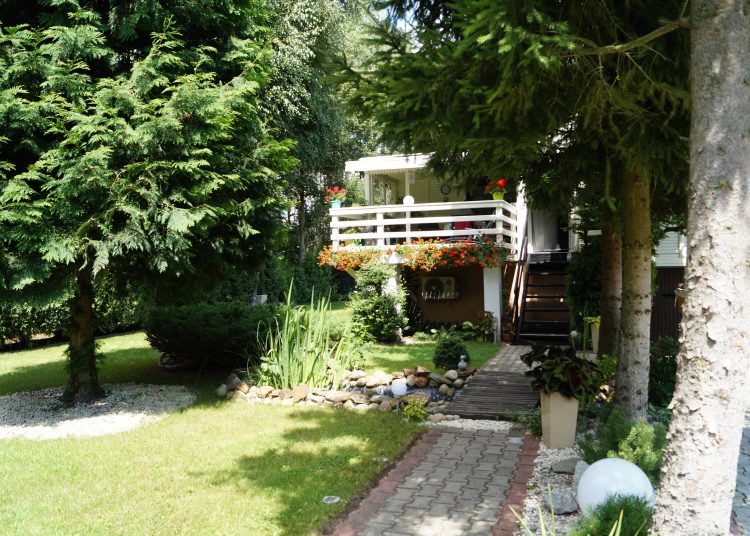 Panaceum na pandemię