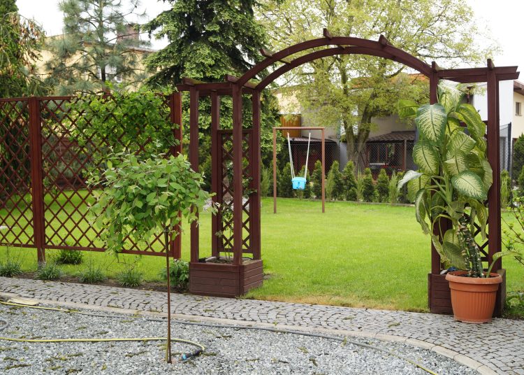 Ogród zrewitalizowany