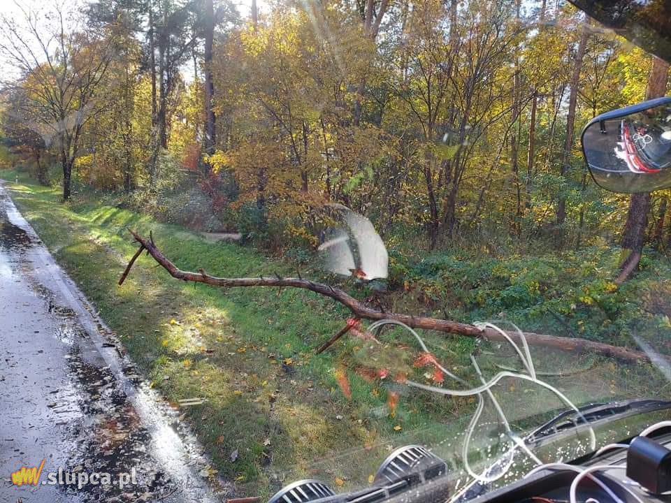 Drzewa spadły na auto i domek letniskowy