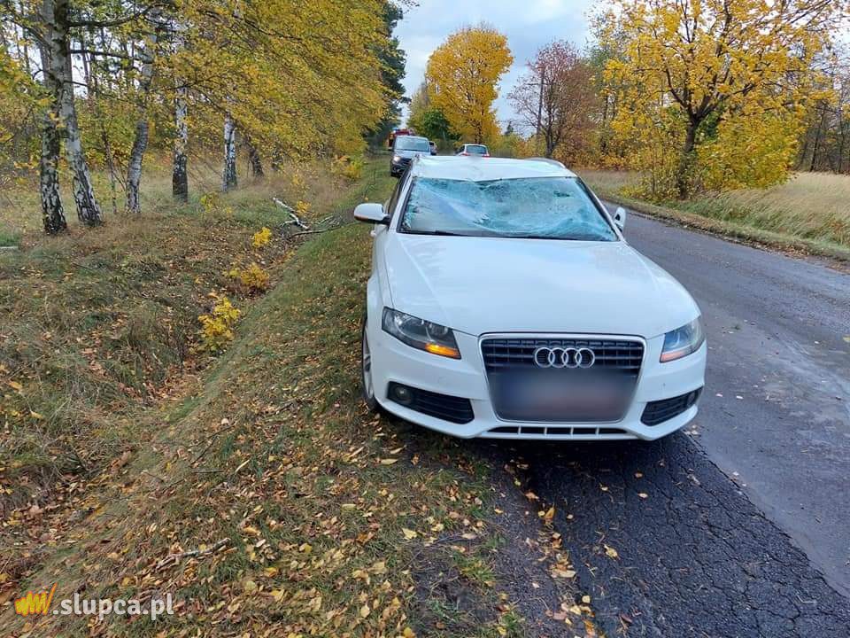 Drzewa spadły na auto i domek letniskowy