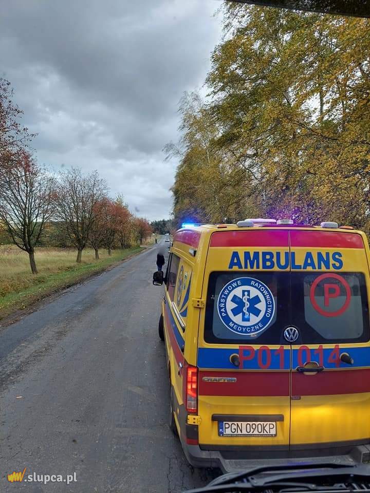 Drzewa spadły na auto i domek letniskowy