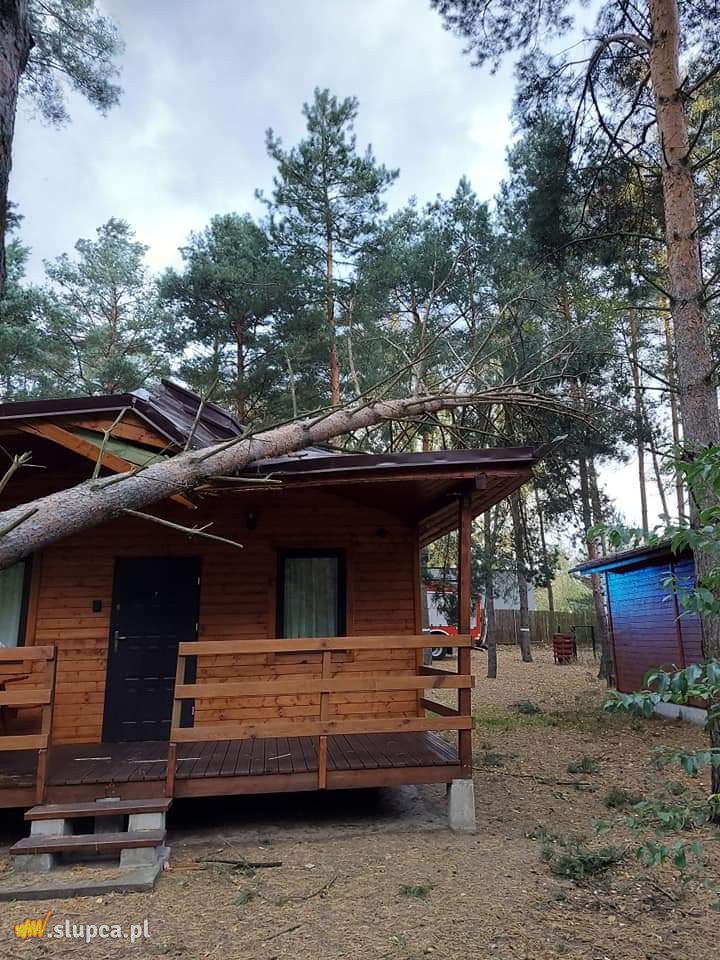 Drzewa spadły na auto i domek letniskowy