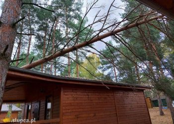 Drzewa spadły na auto i domek letniskowy