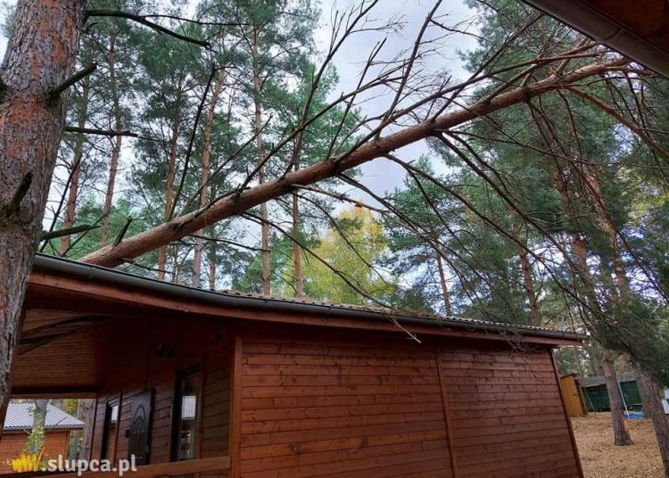 Drzewa spadły na auto i domek letniskowy