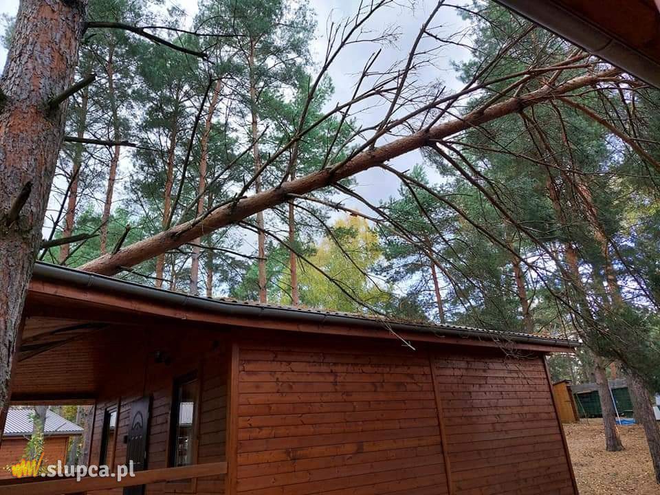 Drzewa spadły na auto i domek letniskowy