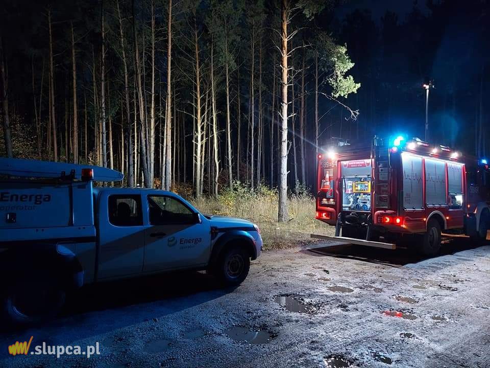 Drzewa spadły na auto i domek letniskowy