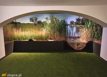 W ośrodku mają własną łąkę. Powstała w piwnicy