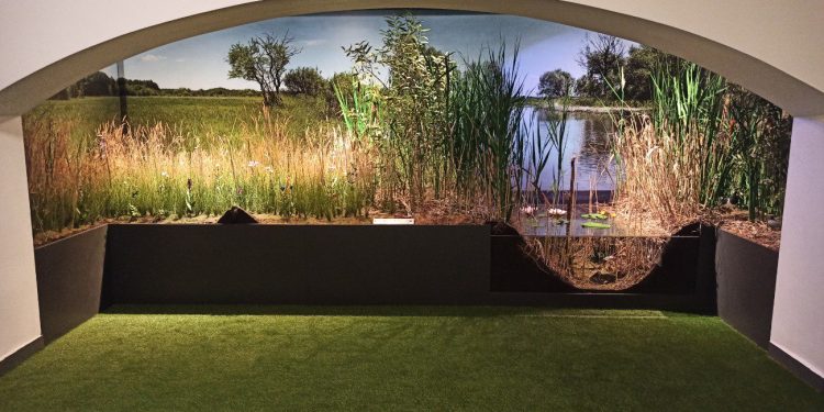 W ośrodku mają własną łąkę. Powstała w piwnicy