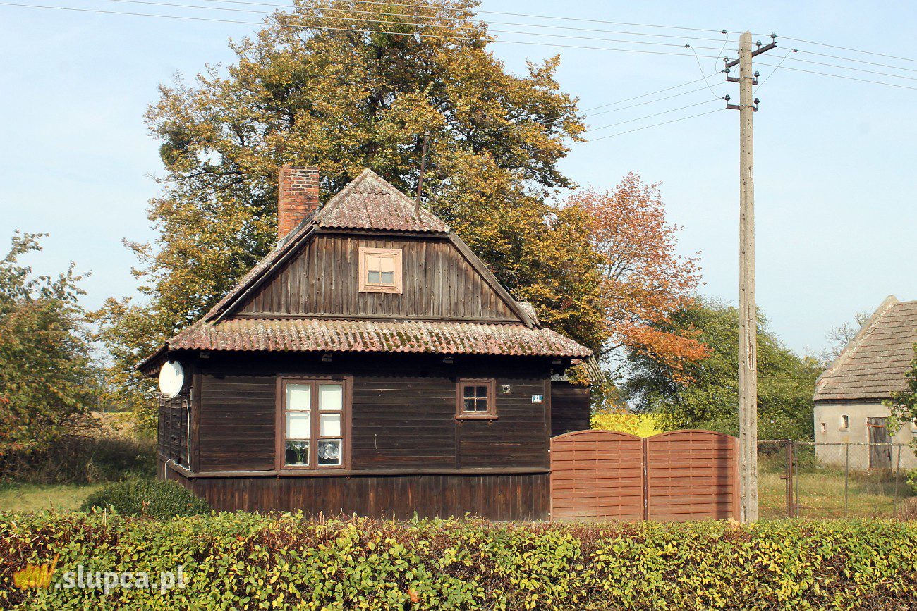 Ze Słupcy na Pałuki