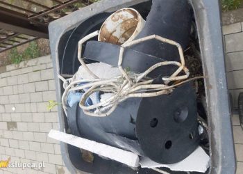 Sprawdzili kosze na śmieci. Zapowiadają kontrole