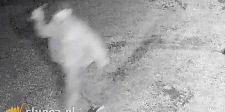 Z nożem wtargnął na posesję. Jest wyrok