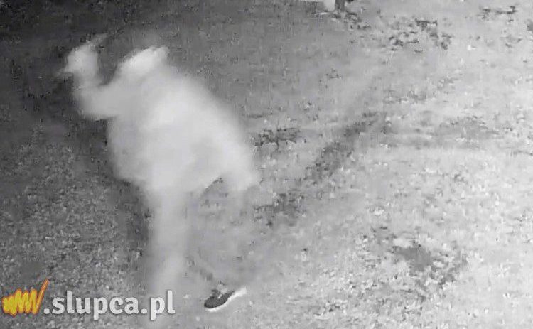 Z nożem wtargnął na posesję. Jest wyrok