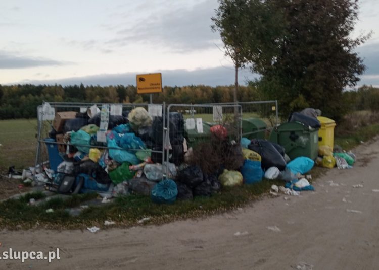 Góry śmieci po sezonie