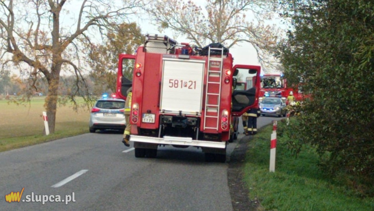 Wypadek w Brudzewie. Auto wpadło do rowu