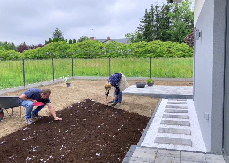 Teraz trawniki rosną na „dywanie”