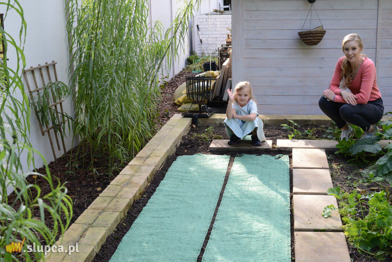 Trawnik z rolki, ale… jak to zrobić taniej?