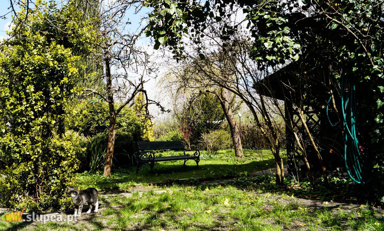 Stworzyli swoją oazę spokoju