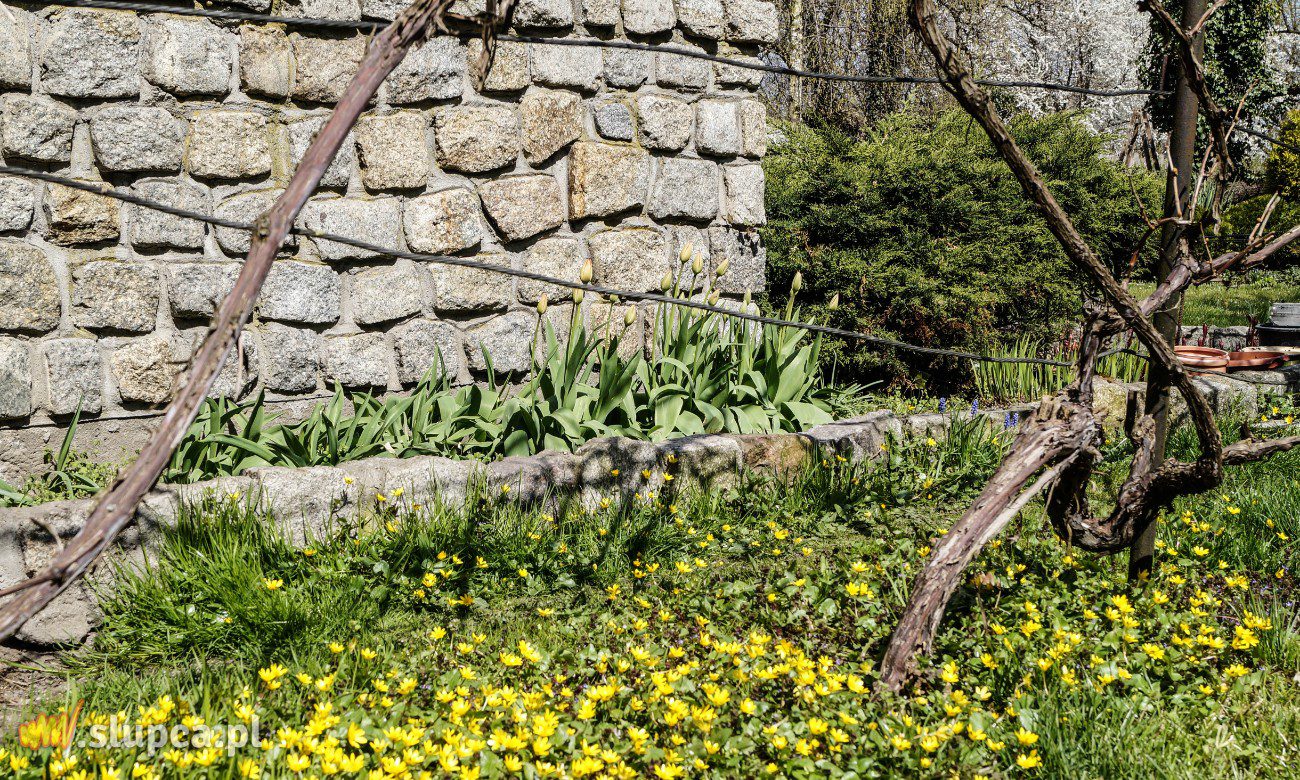 Stworzyli swoją oazę spokoju