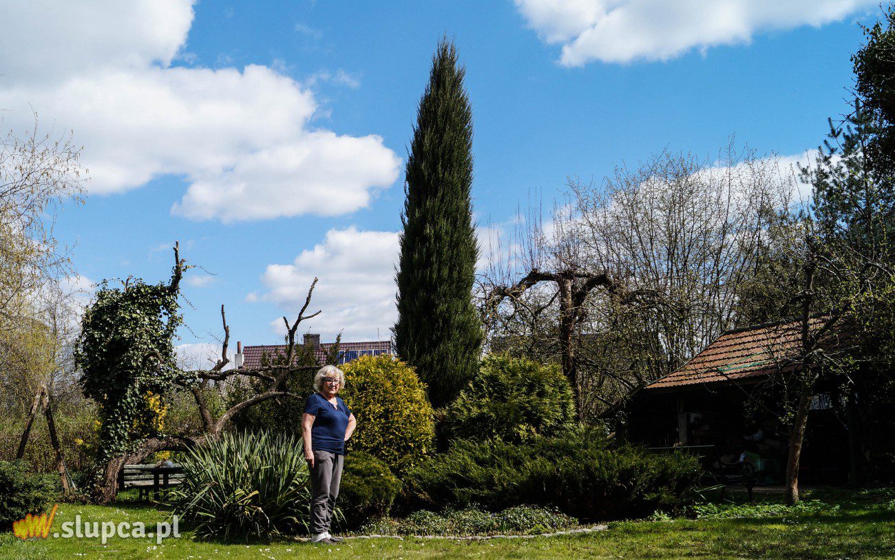 Stworzyli swoją oazę spokoju