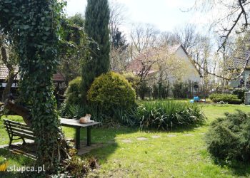 Stworzyli swoją oazę spokoju