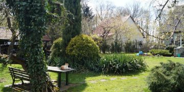 Stworzyli swoją oazę spokoju