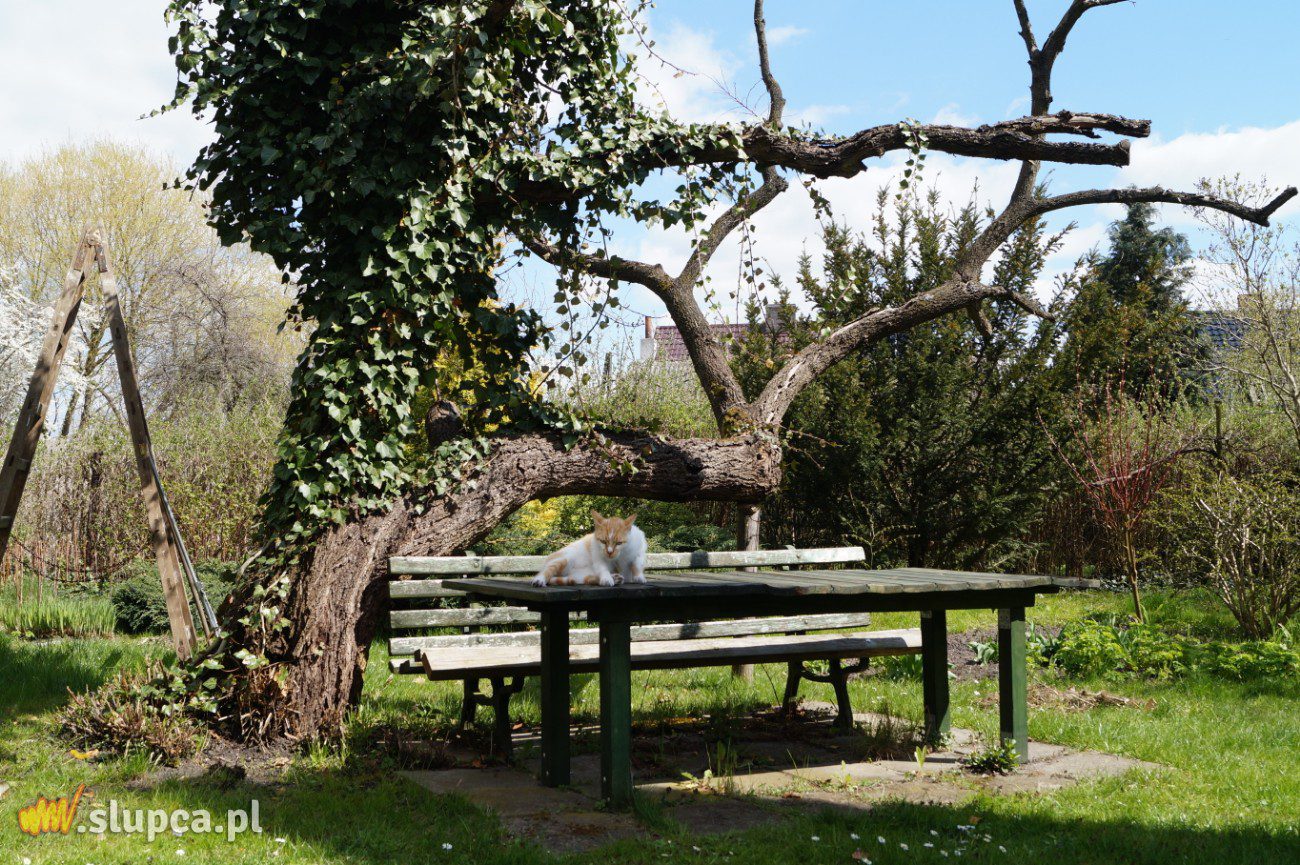 Stworzyli swoją oazę spokoju
