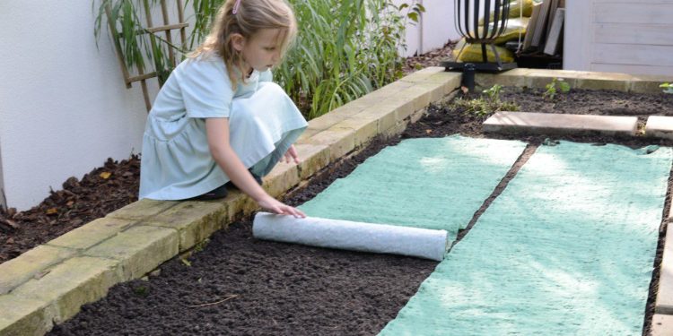 Trawnik z rolki, ale… jak to zrobić taniej?