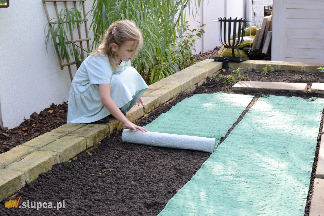 Trawnik z rolki, ale… jak to zrobić taniej?