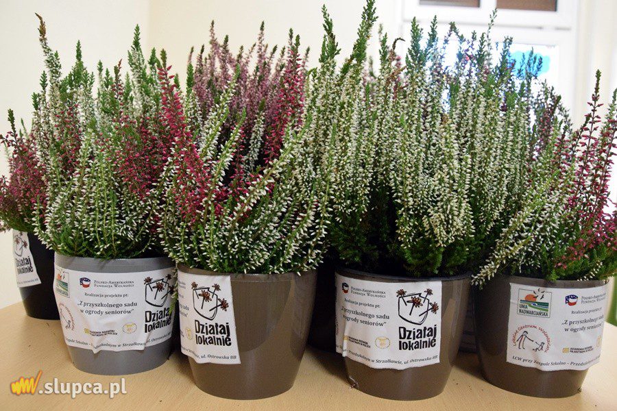 Podsumowali projekt międzypokoleniowy